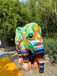 -大望京儿童游乐场