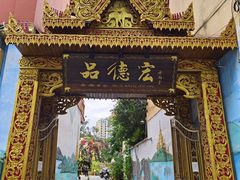 -品德宏·孔雀宴的发源地(金塔园店)