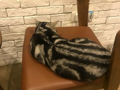 -咖法森林·咖啡  酒吧(天河店)
