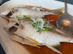 清蒸黄鳍鲷鱼-闽海肴(北辰荟店)