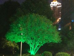 -上海千禧海鸥大酒店
