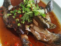 -喜粤8号(四海唐人街店)