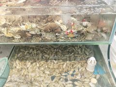-仙螺岛海鲜自助餐厅(总店)