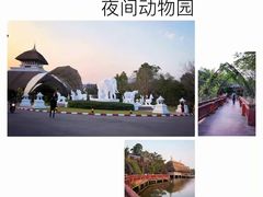 -清迈夜间动物园
