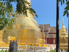 -帕辛寺
