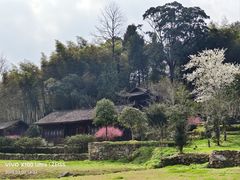 -唐崖土司城遗址