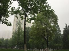 -西北湖绿化广场