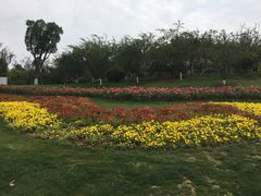 -习家池