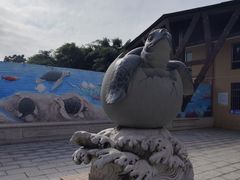 -广东惠东海龟国家级自然保护区