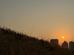 -野狸岛