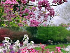 -花开海上生态园