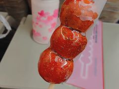 -和禄德冰糖葫芦