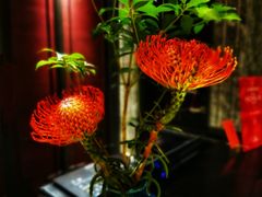-北京四季酒店·采逸轩