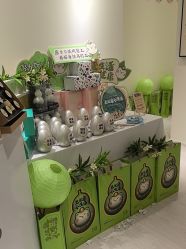 -咪咪比基尼脱毛专业店