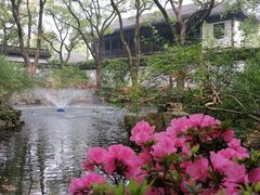 -上海醉白池公园