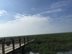 -北海金海湾红树林生态旅游区