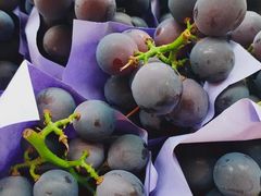 -e佳鲜果(四方坪店)