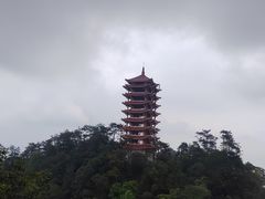-缙云山景区