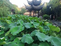 -衣裳街历史文化街区