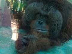 -泉州海丝野生动物世界