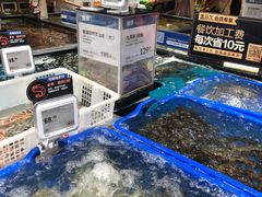 水产区-盒马鲜生(皇庭广场店)