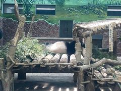 -黔灵山公园
