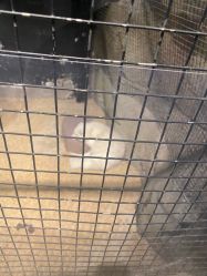 -酷嗒动物文化乐园(cutezoo西溪乐天城店)