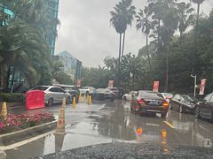 -圣爵菲斯大酒店(长沙世界之窗店)