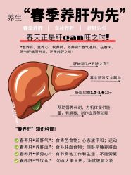 -慈蕊美容养生·专业经络调理