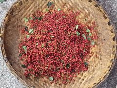 -小辣椒·川菜馆·羌家铜锅土火锅(茂县店)