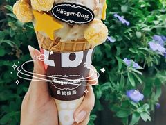 -哈根达斯(深圳海岸城店)