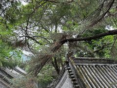 -潭柘寺景区