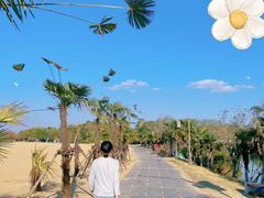 -瑶湖郊野森林公园