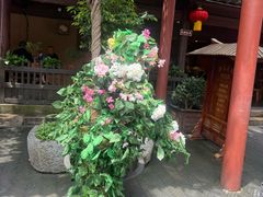 -杭州宋城