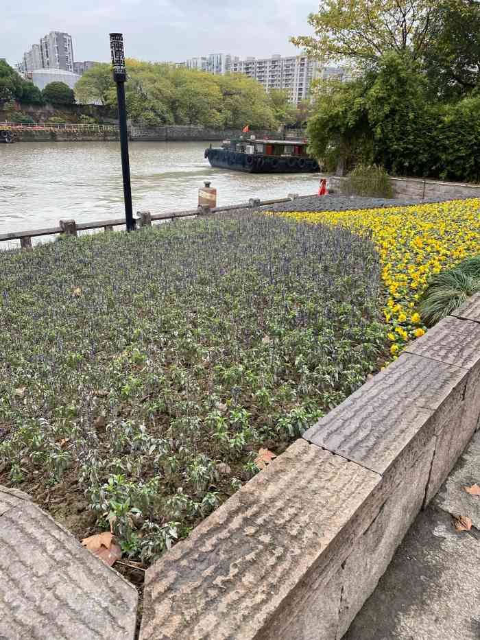 青莎公园-"防疫防控已有一段时间,宅家已久,现在疫情.