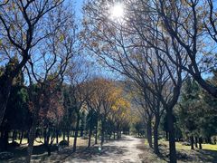 -阳台山自然风景区