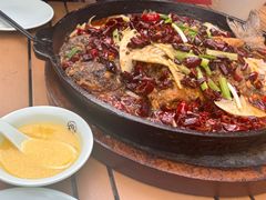 -老板恋上鱼(恒隆广场店)