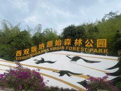 -西双版纳原始森林公园
