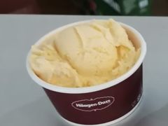 冰淇淋球-海之乡日本料理铁板烧(星海店)