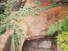 -竹吟山房