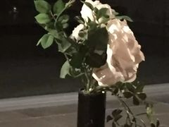 -水之教会