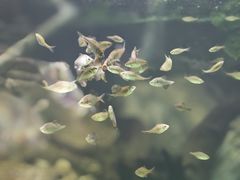 -海合安成都极地海洋公园