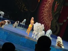 -珠海横琴长隆《卡卡虎奇遇记》