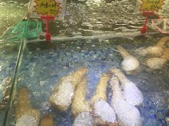 -阿锋鲍鱼酒家美食汇(华安店)
