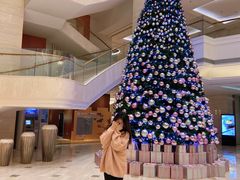 -上海新发展亚太JW万豪酒店