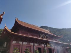-深圳仙湖植物园