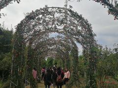-广州花之恋城堡酒店