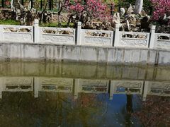 -桃花堤公园