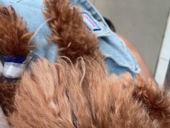 -畜牧兽医站(共江路店)