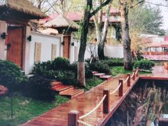 -思念果岭悦温泉